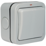 BG WP30 IP66 Switch 1 Gang DP 20A