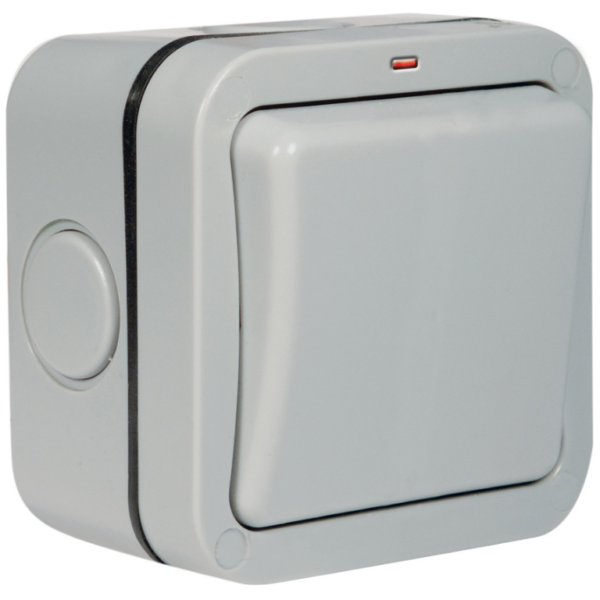 BG WP30 IP66 Switch 1 Gang DP 20A